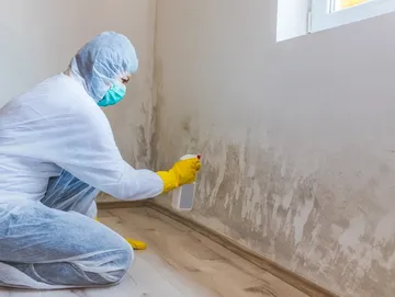 Fire and Water Mitigation